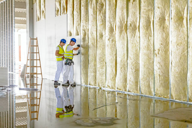 Best Residential Insulation in Cordova, NC
